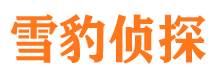 渝北市侦探公司